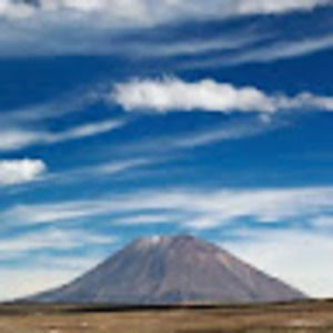 Meet your Posher, Garrett